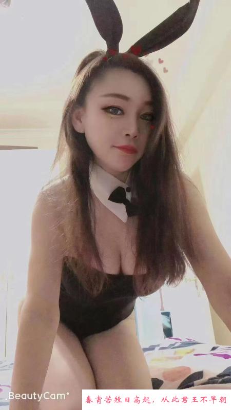 宝安翻身小肥猫 第2张