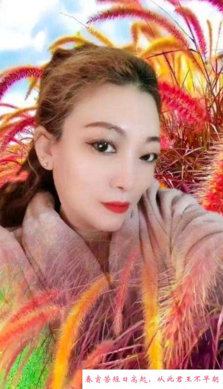 铁西气质美女 第1张