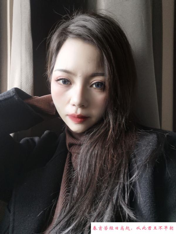 猫猫回归 第1张