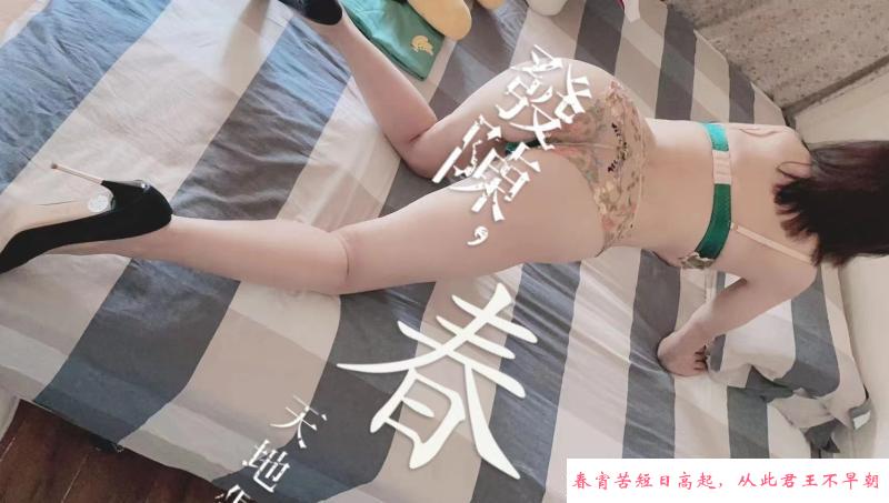 成都市区熟凤 第1张