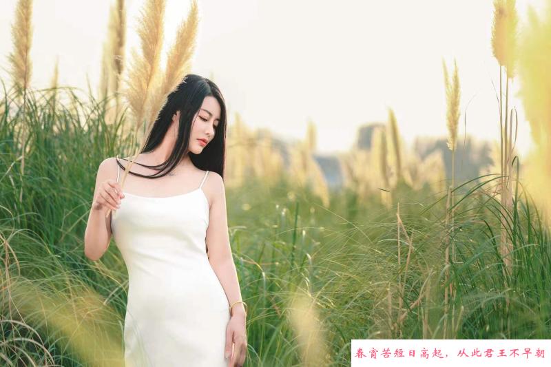 西安果儿 第3张