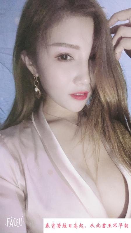 中原区杨咩咩 第1张